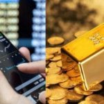 Equity, Gold or Silver